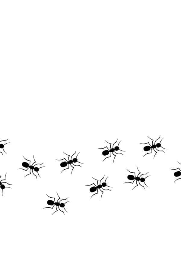 Infestação de Formigas Significado Espiritual: Entenda os Sinais e Mensagens